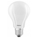 Lampes LED 15W/840 E27 forme boule (10 pièces)