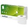 Papier WC recyclé Blanc 2 couches, 250 coupons (64 rouleaux) Ecolabel