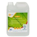 GREEN R RINSE SAFE Rin&ccedil;age lave-vaisselle automatique (5 lt)