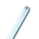N&eacute;ons T8 36W/830 G13 (25 pi&egrave;ces)