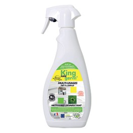 FLASH GERM' Multi Usages PAE Nettoyant d&eacute;sinfectant (750ml)