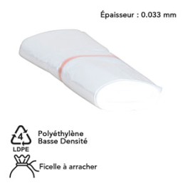 240 lt TRANSPARENTS (carton 100 sacs)