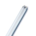 N&eacute;ons T8 30W/840 G13 (25 pi&egrave;ces)