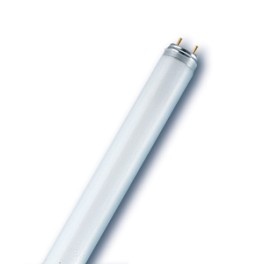 N&eacute;ons T8 30W/840 G13 (25 pi&egrave;ces)