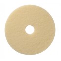 Disques BEIGES (CHAMPAGNE) 432 mm (17'') (carton de 5 pi&egrave;ces)