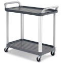 Chariot de service SILVER gris argent&eacute; avec 2 &eacute;tag&egrave;res