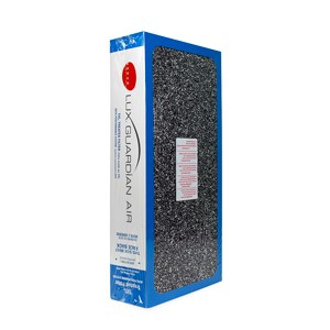 BEYOND GUARDIAN AIR FILTRE