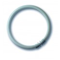 Lampes ECO T5 55W/840 2GX13 forme cercle (12 pi&egrave;ces)