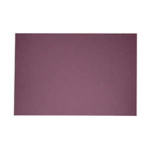 EXCENTR Papiers de verre grain 40 (55-35) (10 pi&egrave;ces)