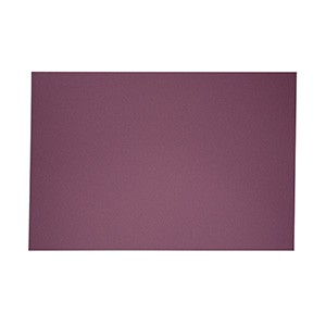 EXCENTR Papier de verre grain 60 (55-35) (10 pi&egrave;ces)