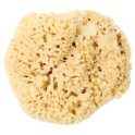 Eponge naturelle diam. 18 cm