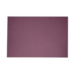 EXCENTR Papiers de verre grain 40 (55-35) (10 pi&egrave;ces)