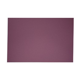 EXCENTR Papier de verre grain 60 (55-35) (10 pi&egrave;ces)