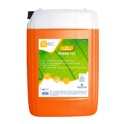 GREEN R RINSE HC Rin&ccedil;age lave-vaisselle automatique (20 lt)