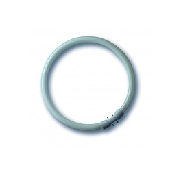Lampes ECO T5 55W/840 2GX13 forme cercle (12 pi&egrave;ces)