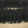 Brosse polypropylène 20'' TOMCAT MINIMAG 20