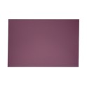 EXCENTR Papier de verre grain 60 (55-35) (10 pi&egrave;ces)