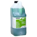 REGAIN (5 lt.)